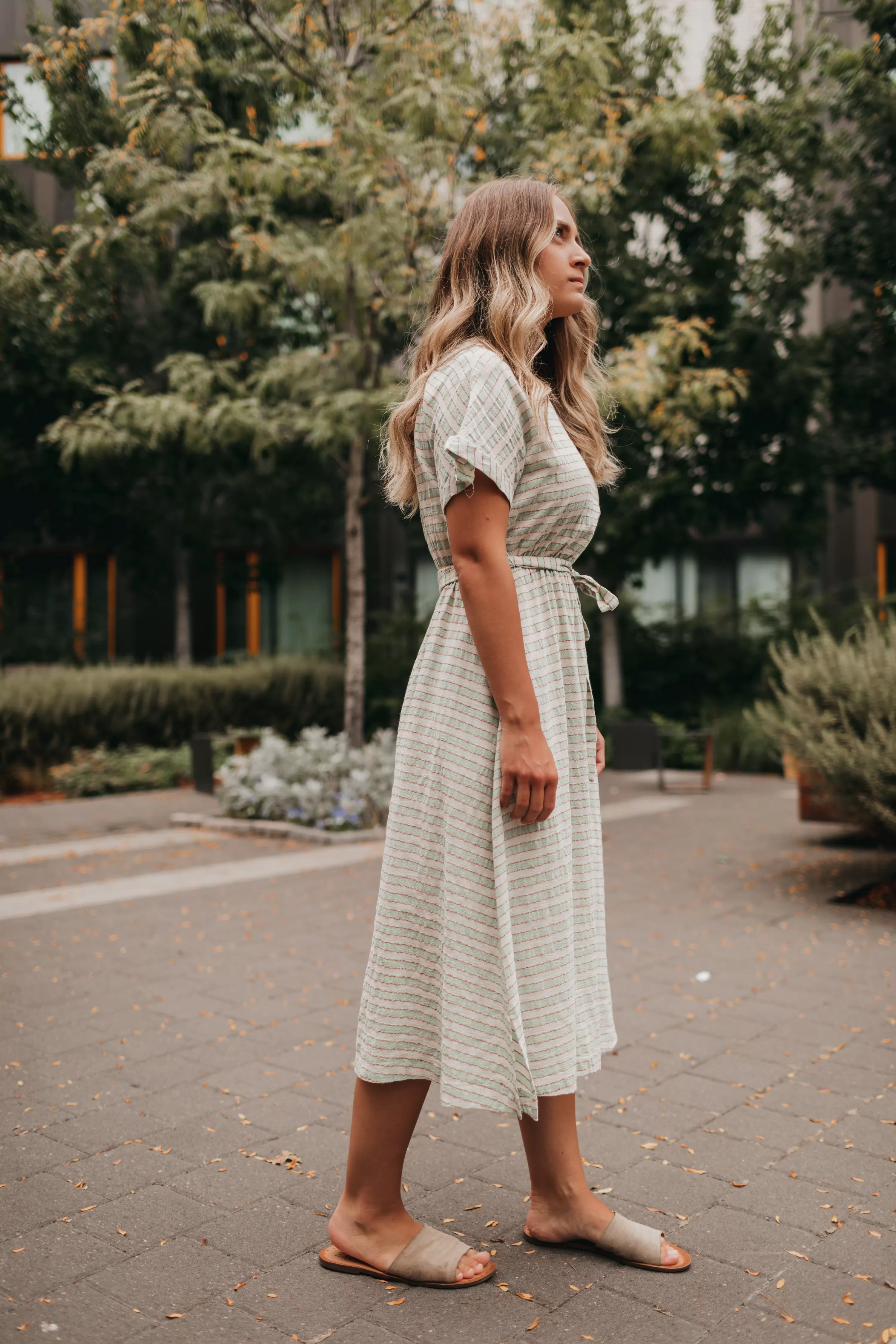 Eva Midi Dress in Sage