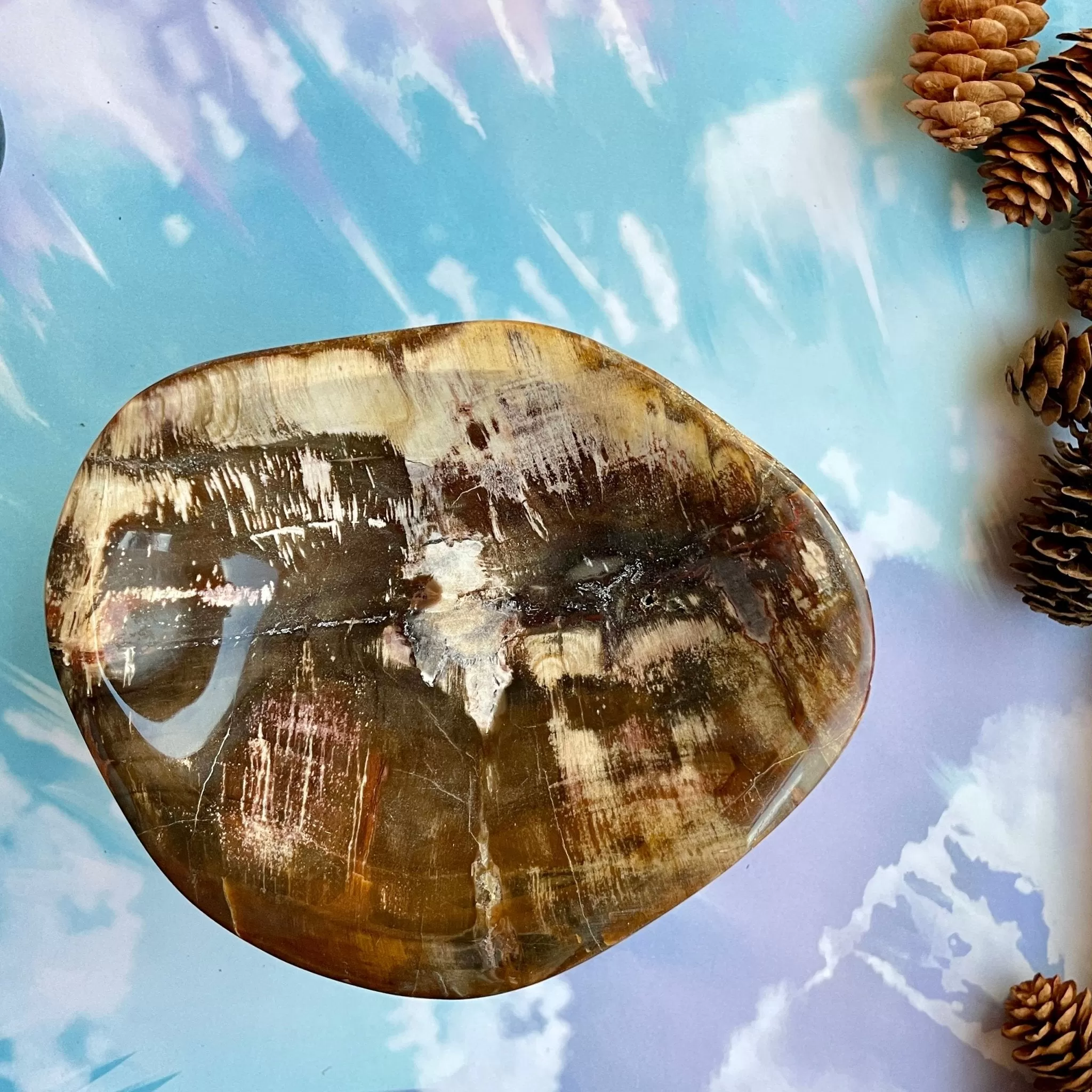 Fawn Petrified Wood Bowl